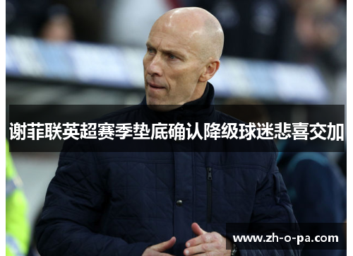 谢菲联英超赛季垫底确认降级球迷悲喜交加