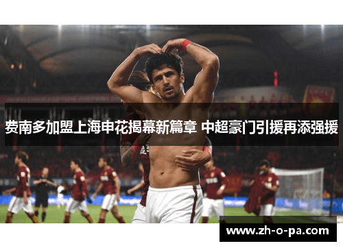 费南多加盟上海申花揭幕新篇章 中超豪门引援再添强援